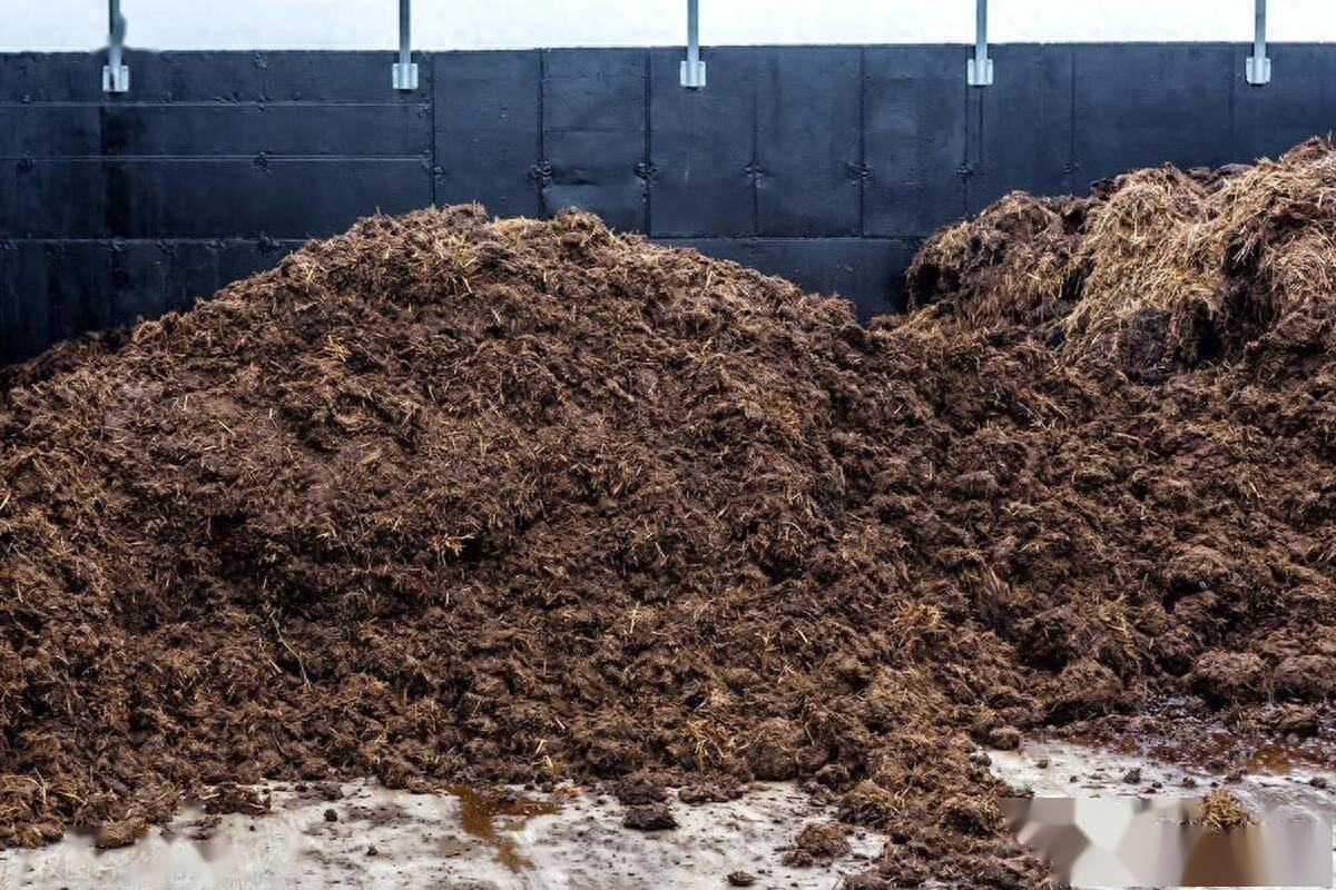 沤肥的制作方法_容器_物质_微生物