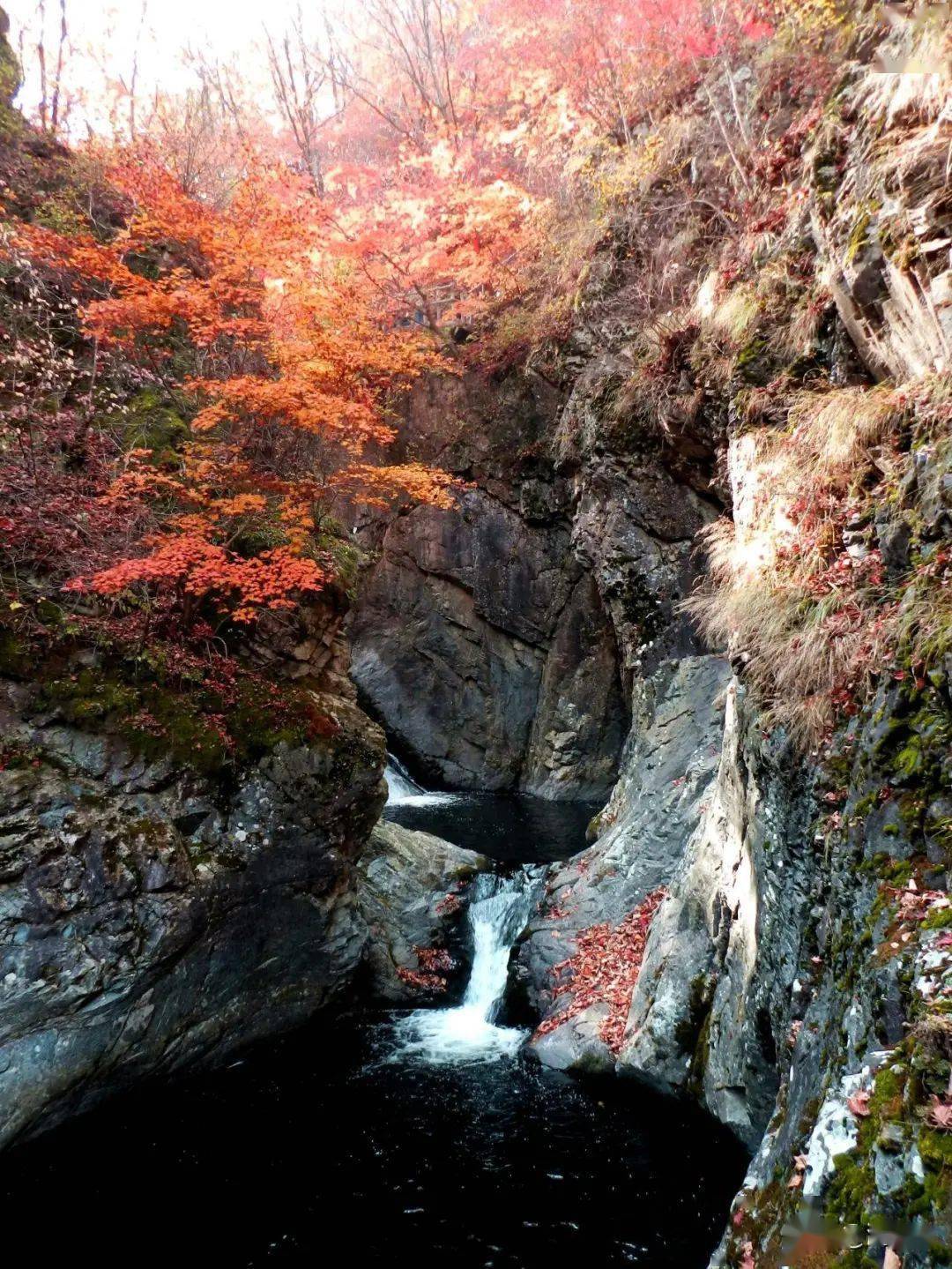 本溪兰河峪风景区图片