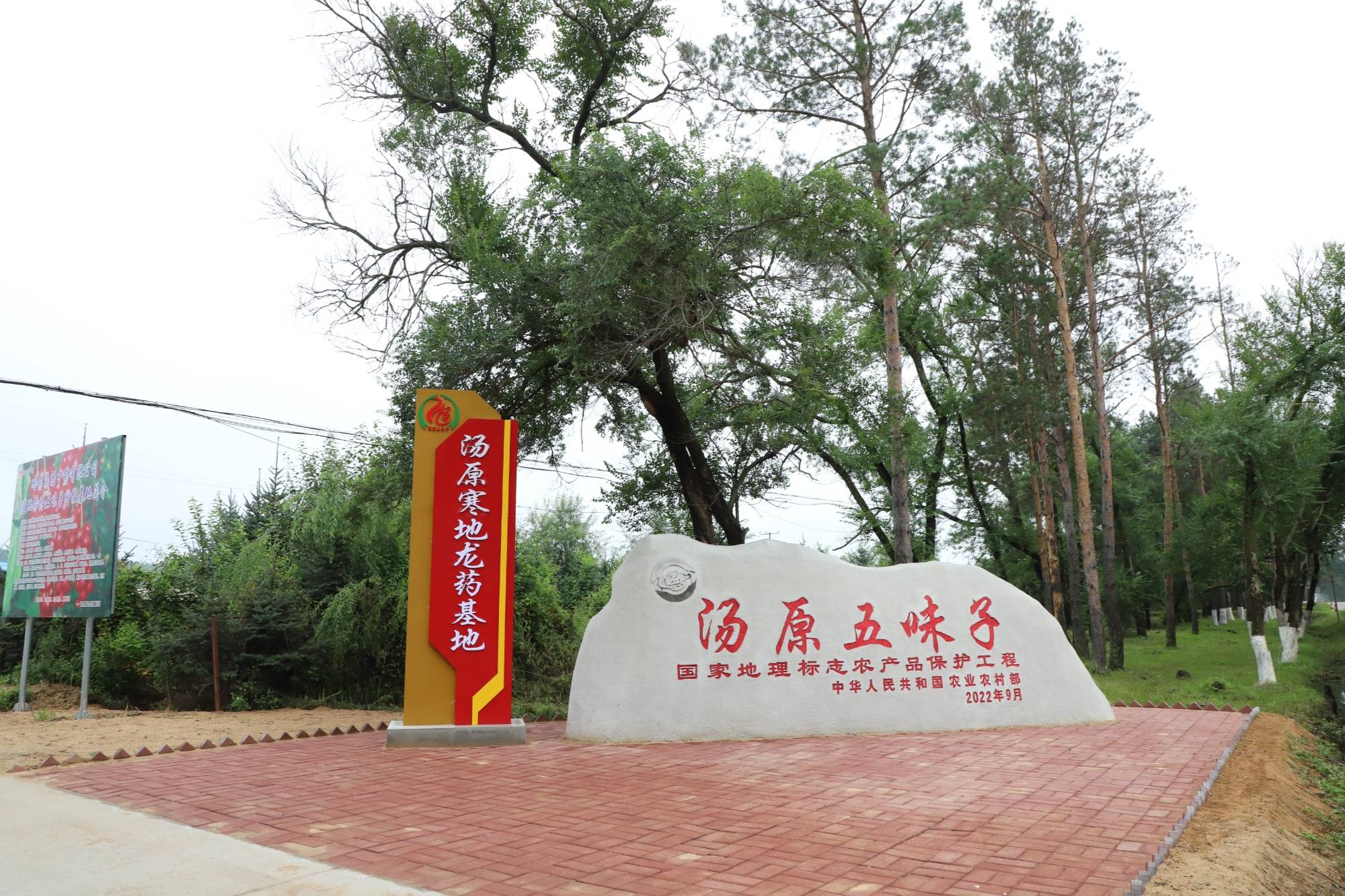 汤原县:以才兴产 以产聚才 着力打造中药材人才集聚高地_种植_产业