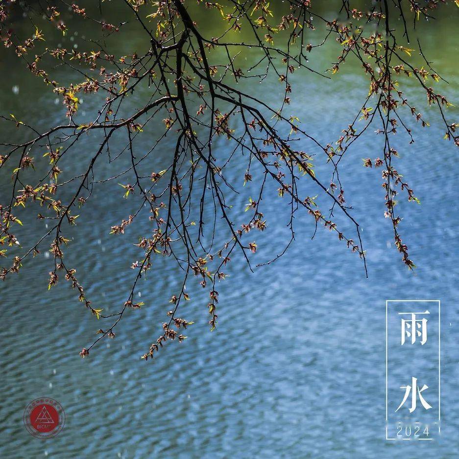 文 | 刘志鹏一些看似复杂的随机系统背后可能隐藏着普适性的规律.