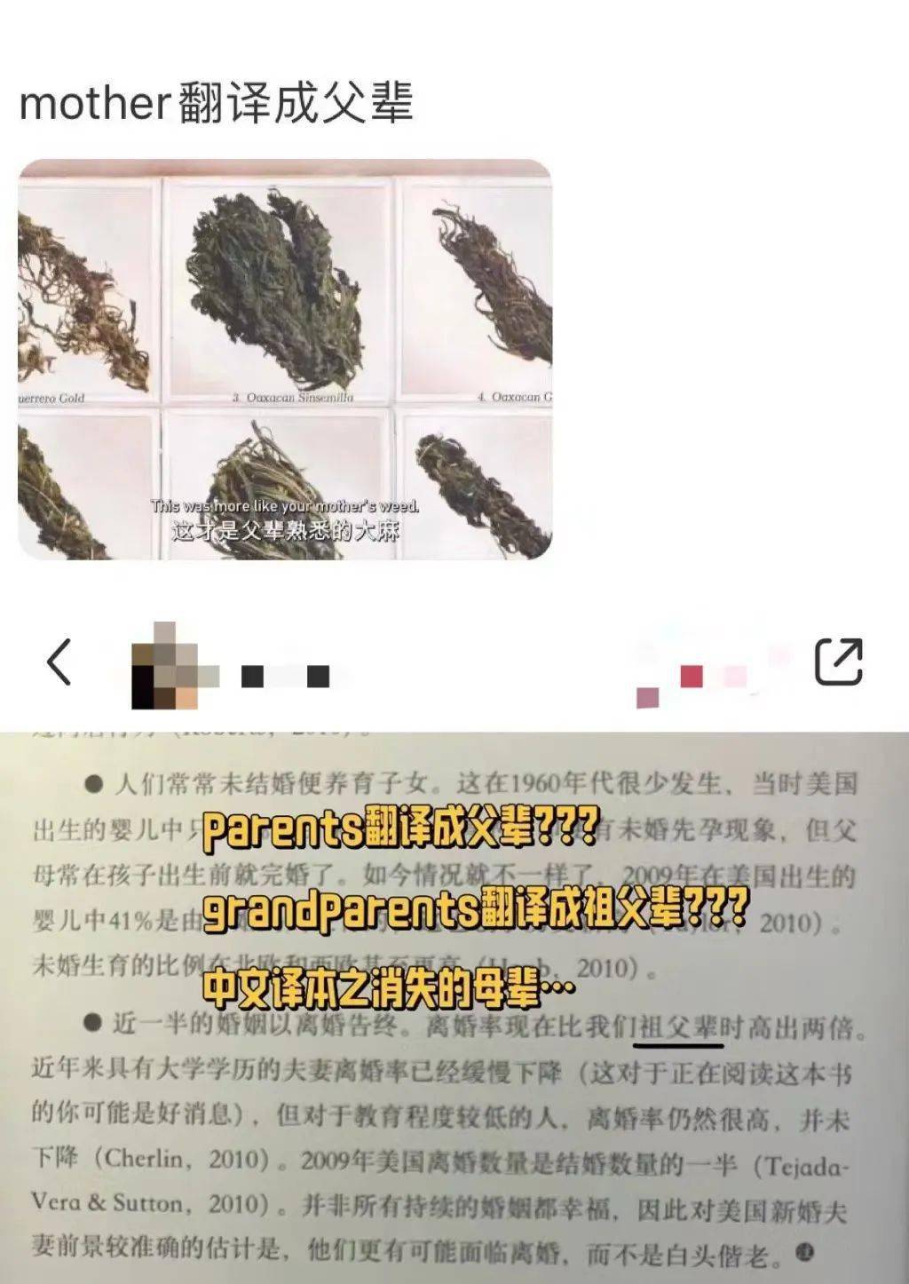 女生的「阴道」,被开除电影字幕_芭比_女性_语言