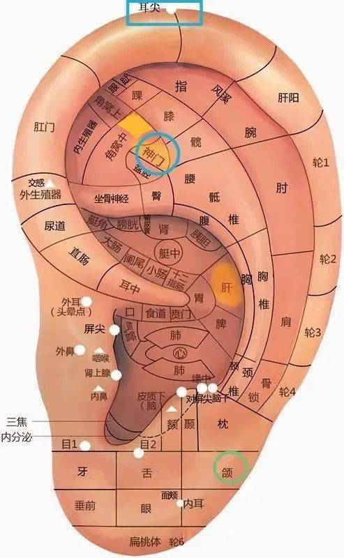 这项神奇的治疗您知多少