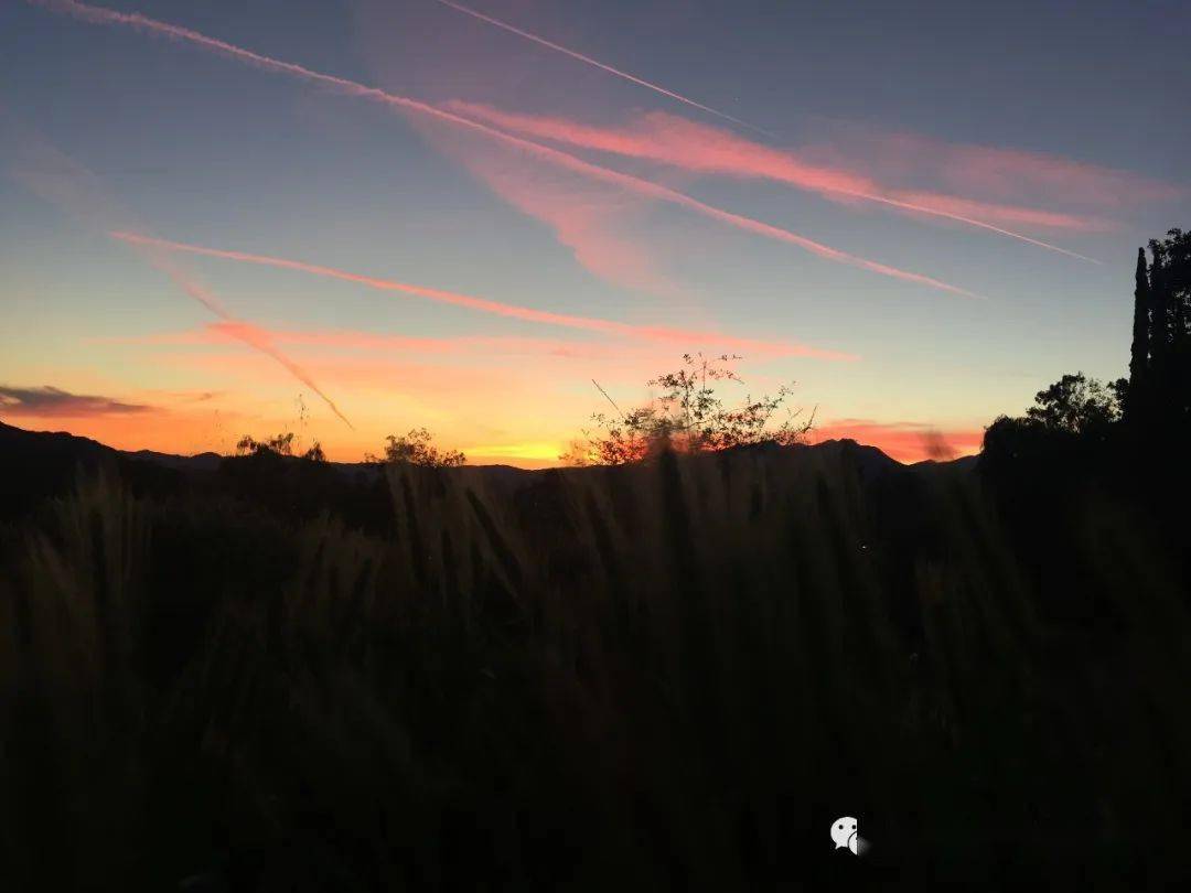 【教与学】大多数父母沉浸在他们个人的忧虑和苦恼中_in_they_family