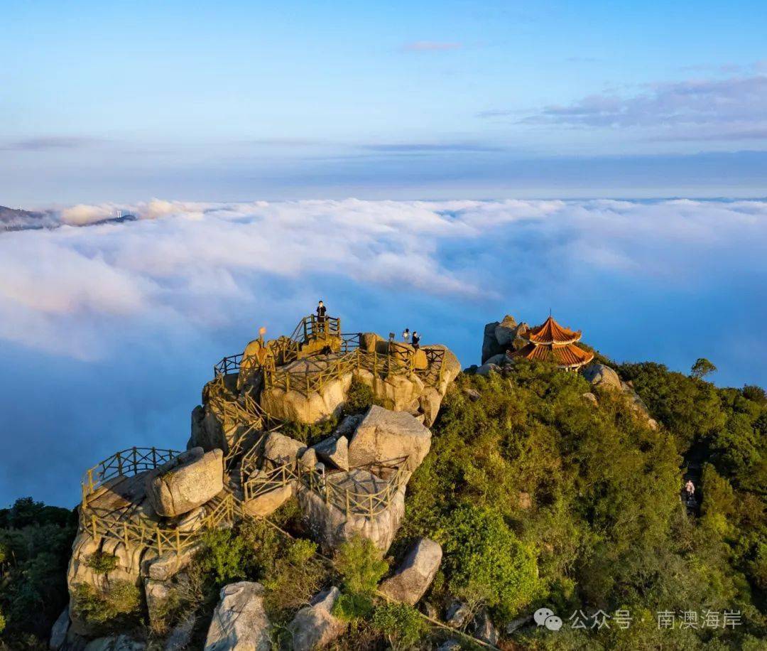 当黄花山遇上云海,便成了人间仙境!福地美景,转发共赏!