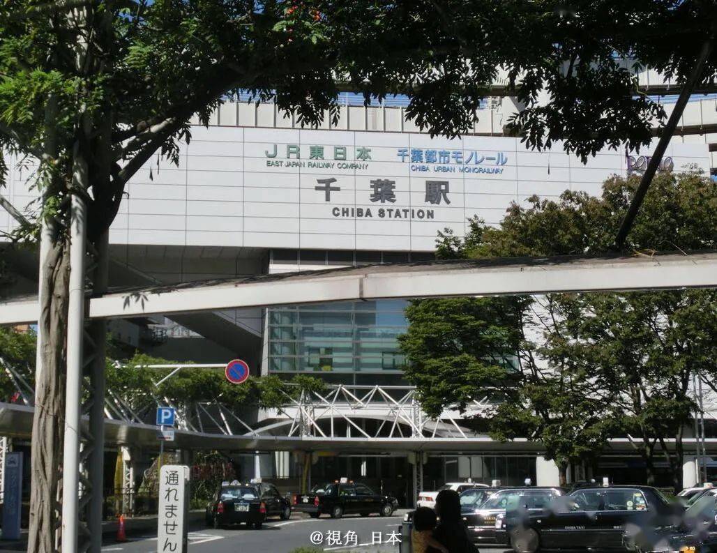 时隔一年大阪湾又漂来一条抹香鲸 & 千叶县公务员实施"三休"制_大阪府