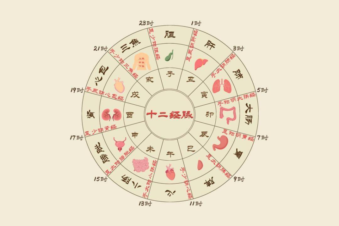 十二时辰养生法|丑时:养肝三步助疏泄_广东省_肝脏_中医药