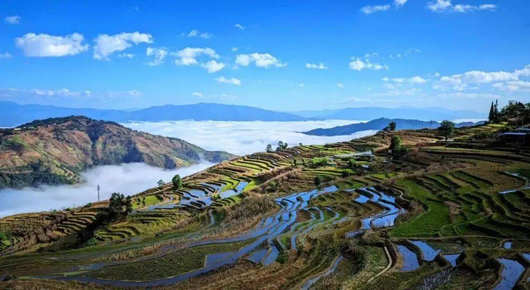 【文明创建】元江那诺乡:推进移风易俗 树立文明新风_群众_红白理事会