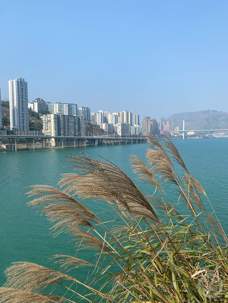 "春影"(29) | 上游主题摄影征稿作品展——黄河作品_涪陵_新闻_江水绿