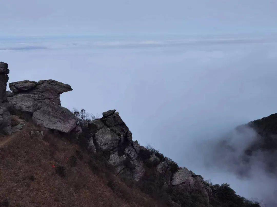 永新秋山介绍图片