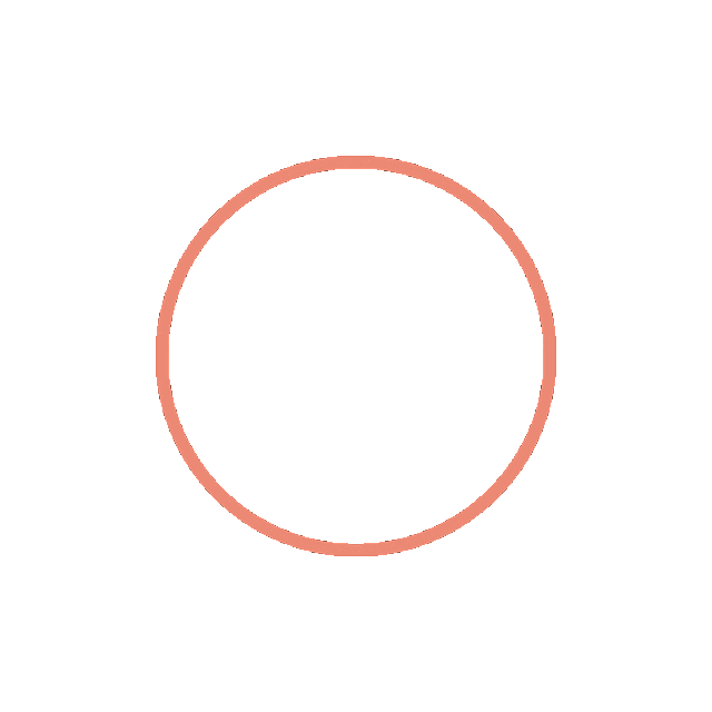 { 开学 }快乐2024龙蛇马羊猴鸡狗猪鼠牛虎兔天初暖,日渐长,沐春光,赴