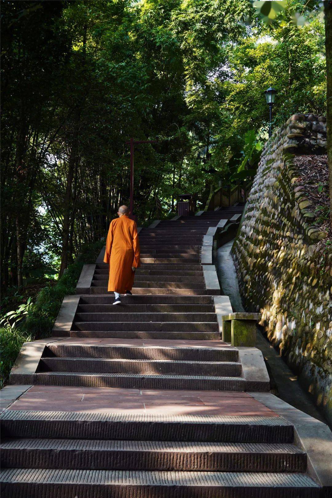 漫步登高,给心灵放个假_阳光_微风_蓝天