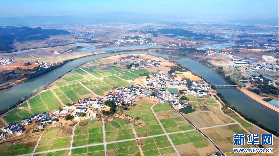 【媒体看江西】新华网关注宁都县:壮大特色产业 建设和美乡村_种植