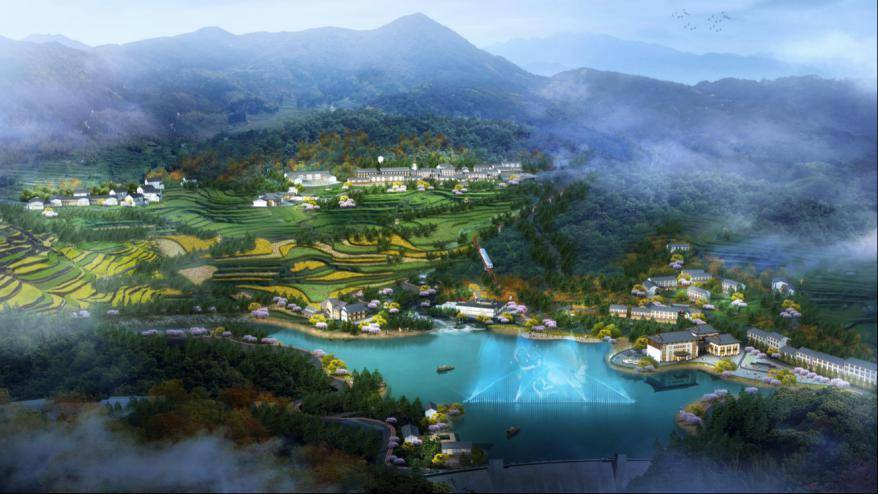 街镇(乡)风采丨泰顺县仕阳镇人大:"茶"寻新路 助推绿色产业共富_发展