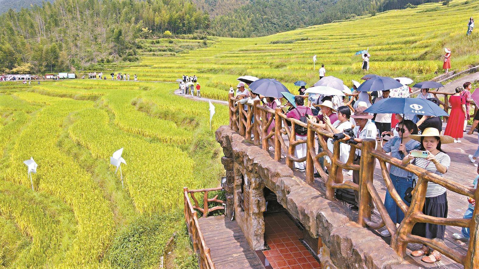 13万亿元大省释放奋进"最强音":全力跑赢新质生产