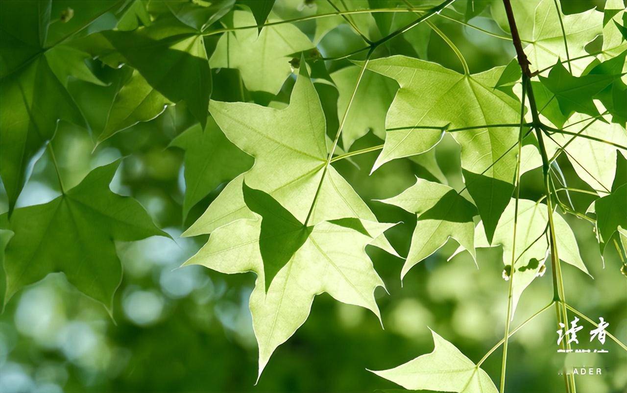 永远不要向任何人证明自己_吴京_谢楠_自证