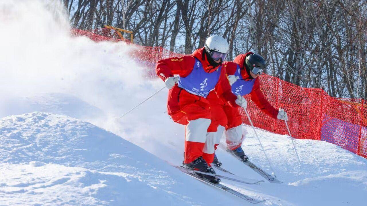 自由式滑雪内容图片