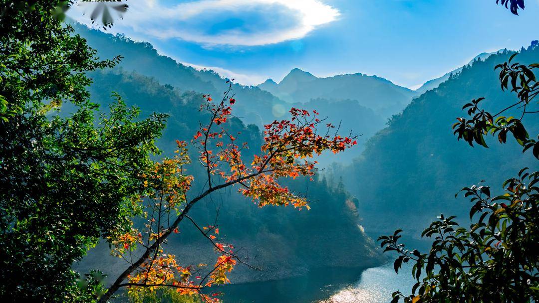 好山好水好风光,这样的新丰真美!_温泉度假村_森林_自然保护区