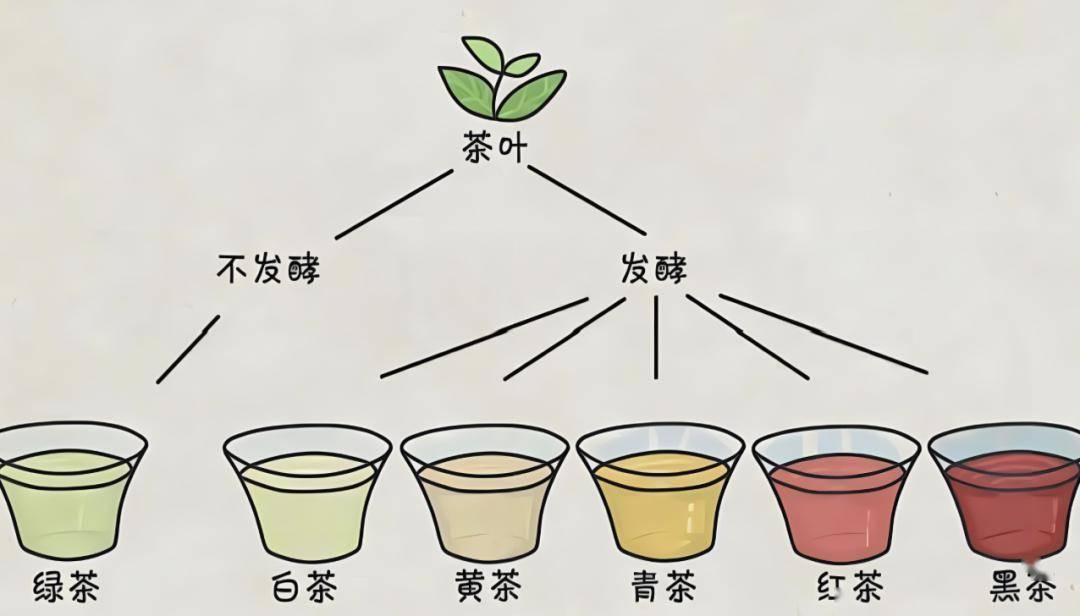 评论区互动,免费体验省中四季茶饮新品_养生_体质_汤军