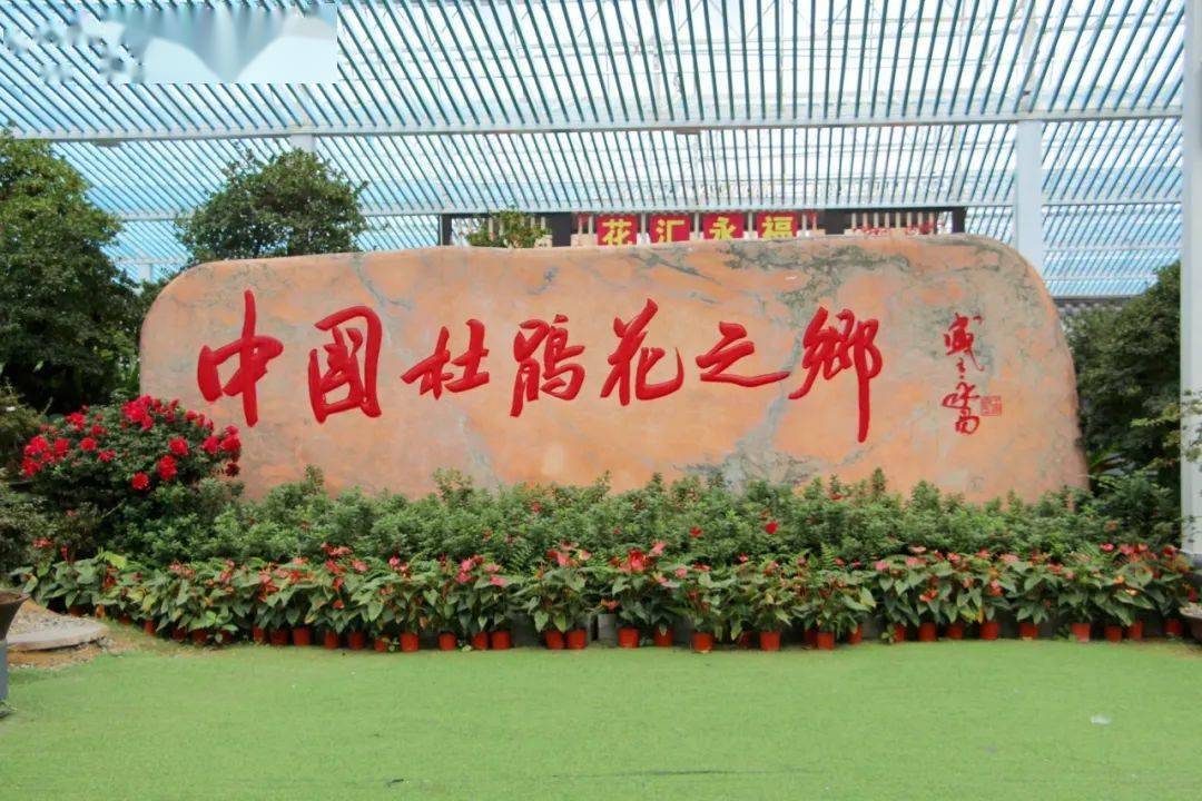 花开永福 | 我在永福花卉中心等你来赏花!_杜鹃花_盆景_视频