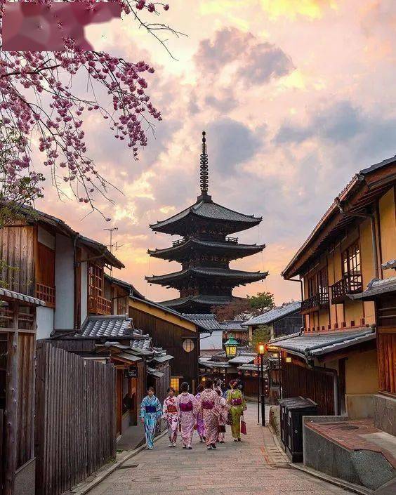 上枝头,在京都 奈良双重赏樱胜地感受独特八重樱世界_樱花_清水_岚山