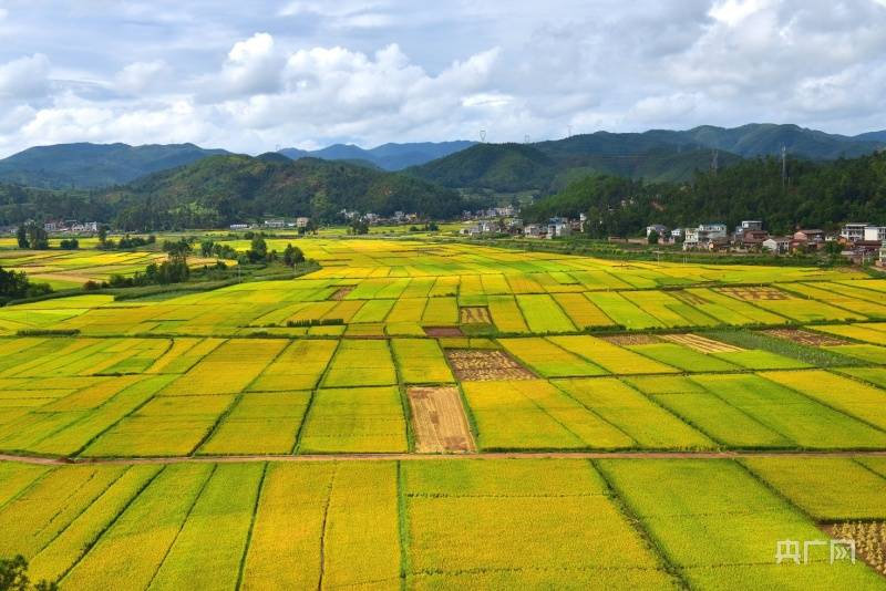 云南秀色|到南华赴一场五彩的早春之约_蓝色_马缨花_粉色