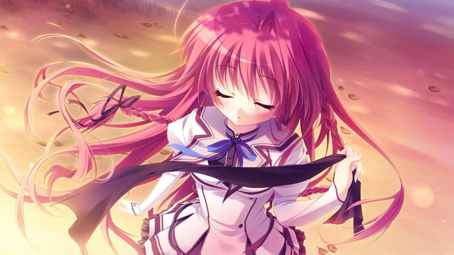 《纯白交响曲 sana edition》中文版2024年q2推出_steam_游戏_学园