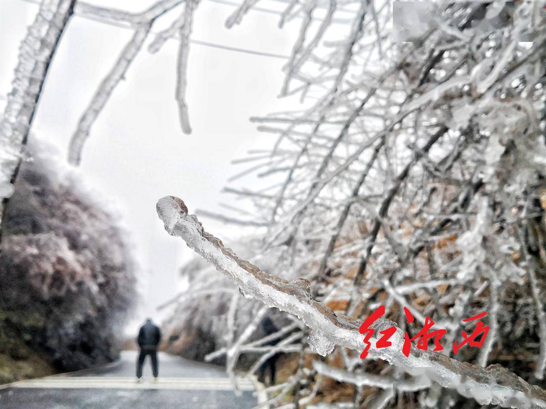 最新预报:湘西州低温雨雪冰冻天气将持续至25日_气温_阴天_白天