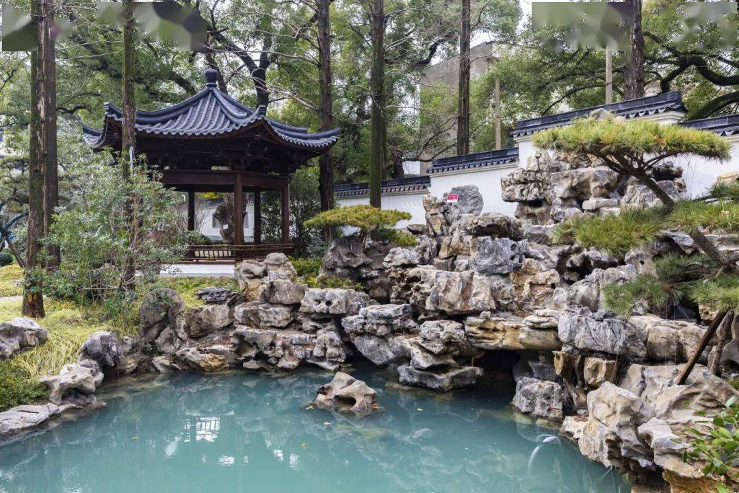 安平泉遗址公园打卡指南,请收好!_安隐寺_唐梅_山门
