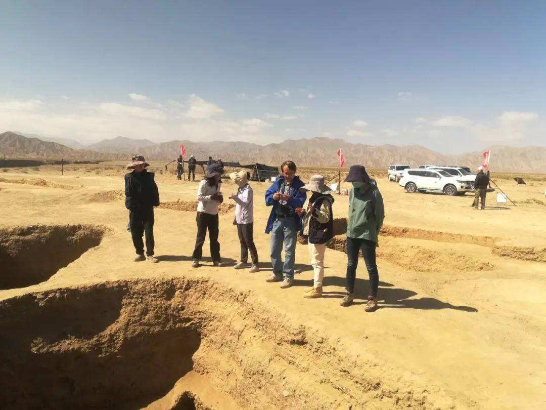 2023全国十大参评项目:16,青海都兰夏尔雅玛可布遗址_文化_研究_文物