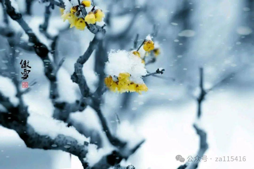 (安徽)☆《浮云》(原创)也是对父母的怀念是对上苍的敬畏摆放上一碗粥
