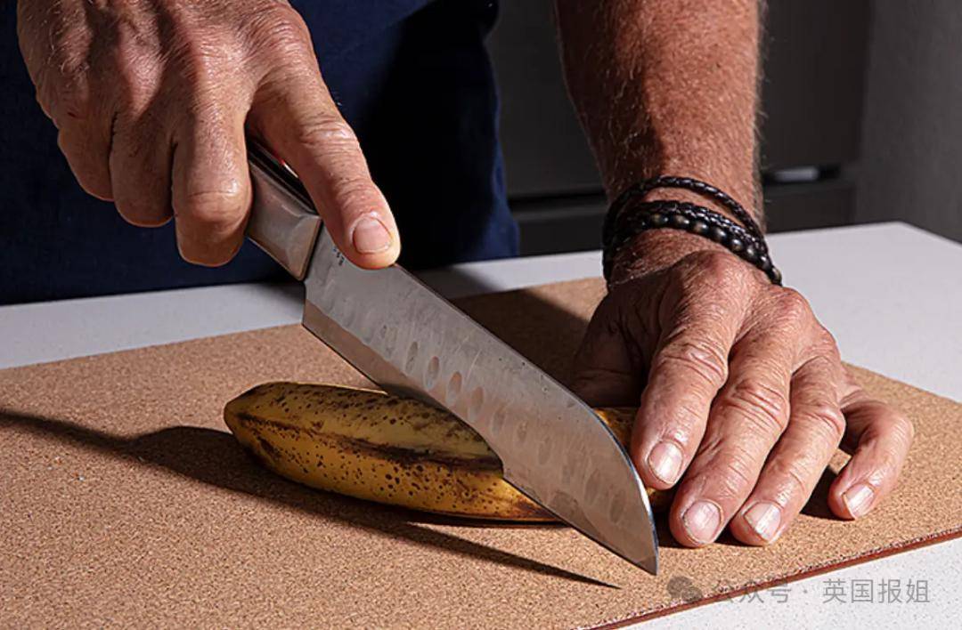 外国议员呼吁物理阉割恋童癖:割以永治!_埃尔努尔_手术_凶手