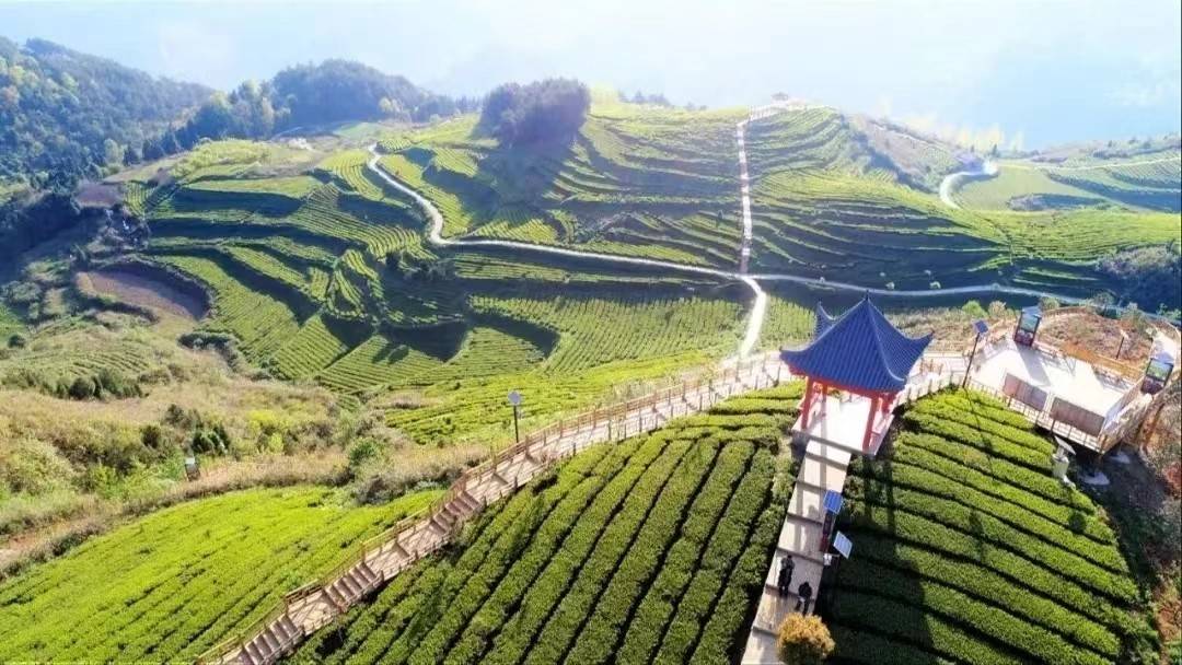 积势蓄能描绘"黔中首郡"新未来——思南以县域经济突破开创高质量发展