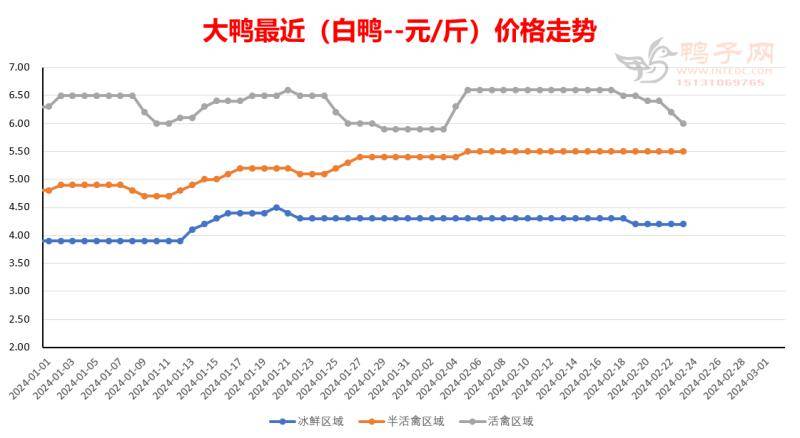 2月22日鸭苗,毛鸭及相关品微报_白鸭_报价_涨跌