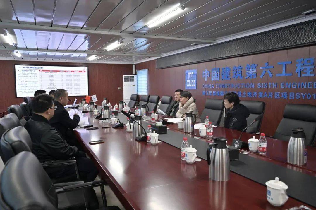 区委常委,区纪委书记,区监委主任马红萍带队到杨镇督导检查_发展_工作