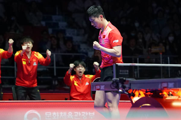 中国男乒完胜日本晋级四强 马龙关键球处理有些遗憾_樊振东_比赛