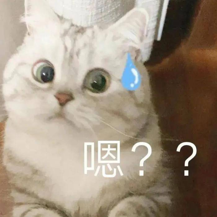 搞怪表情包,no.0222_羊崽