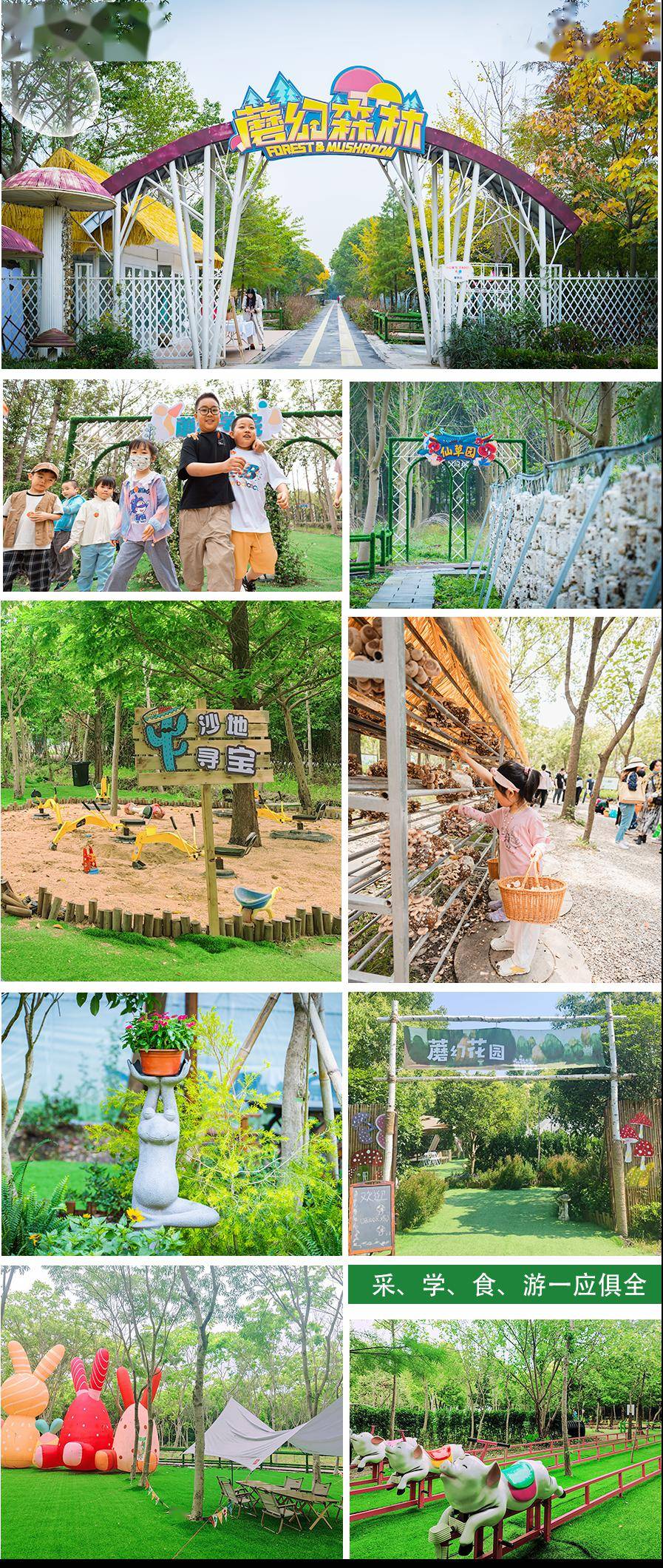 半日亲子【植树节专场@青浦】森林科普/植树/寻野/铭牌手作/diy馄饨