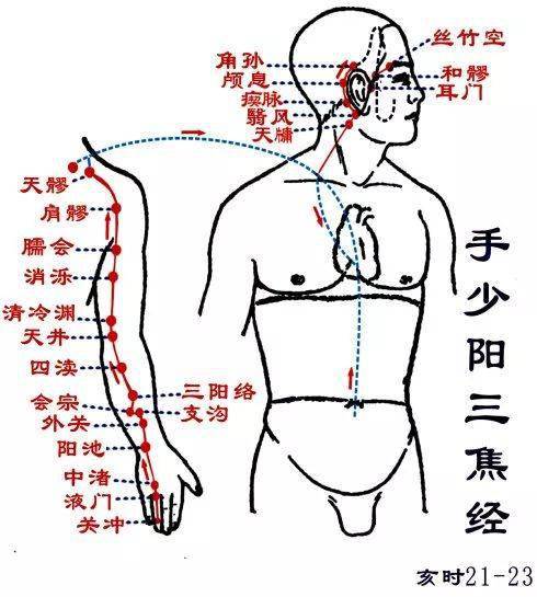 肝脾肾三条经络走向图图片