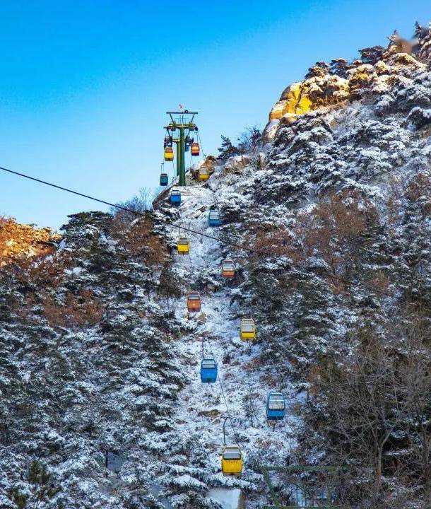 @新泰所有学生:统统免费进景区!_门票_初一_年味