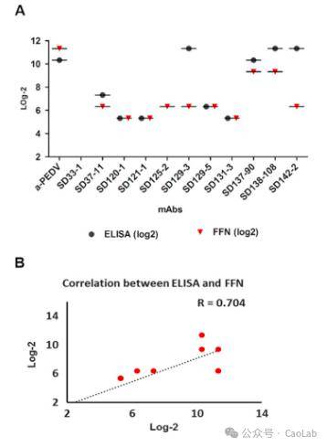 猪流行性腹泻病毒s2糖蛋白亚基含有免疫显性中和表位