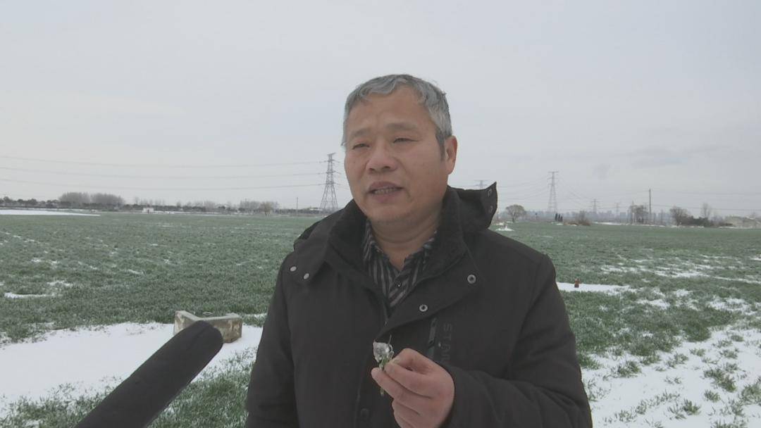 农技人员深入田间 为小麦生长保驾护航_埇桥区_冻雨_天气