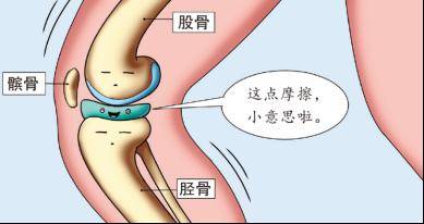 膝半月板位置图片图片