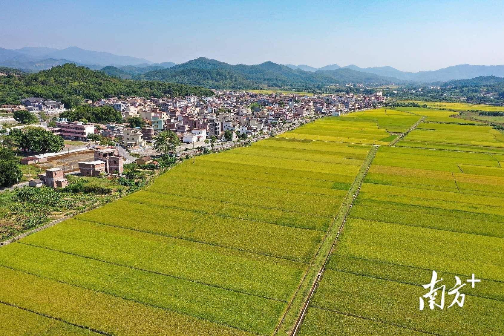 建设_产业_新城镇