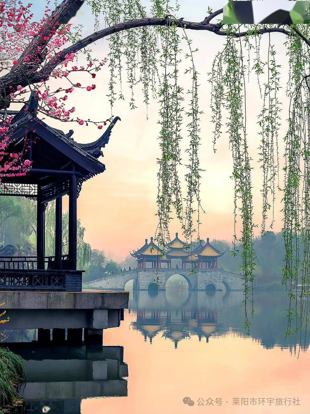 扬州瘦西湖 李中水上森林(含竹筏) 泰州梅园 乔园 夜游凤城河纯玩三日