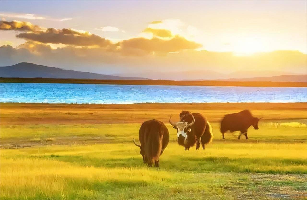 关于藏区,你想知道的全在这里!_西藏_高原_生活