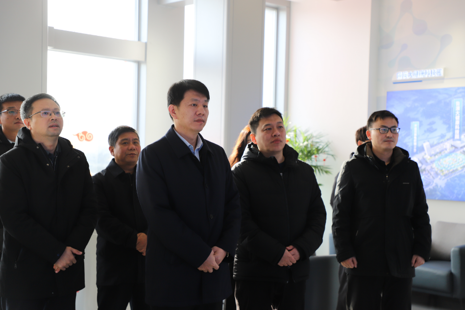 区领导调研重点项目_建设_招商_王士