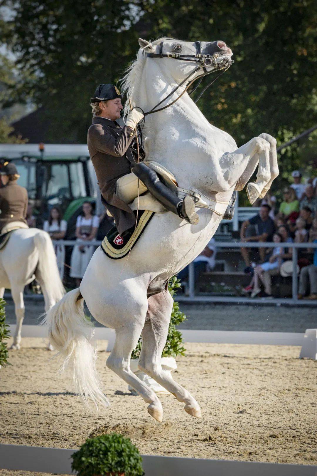 带你探古堡丨皮伯城堡的白马奇遇_扎马_利比_piber