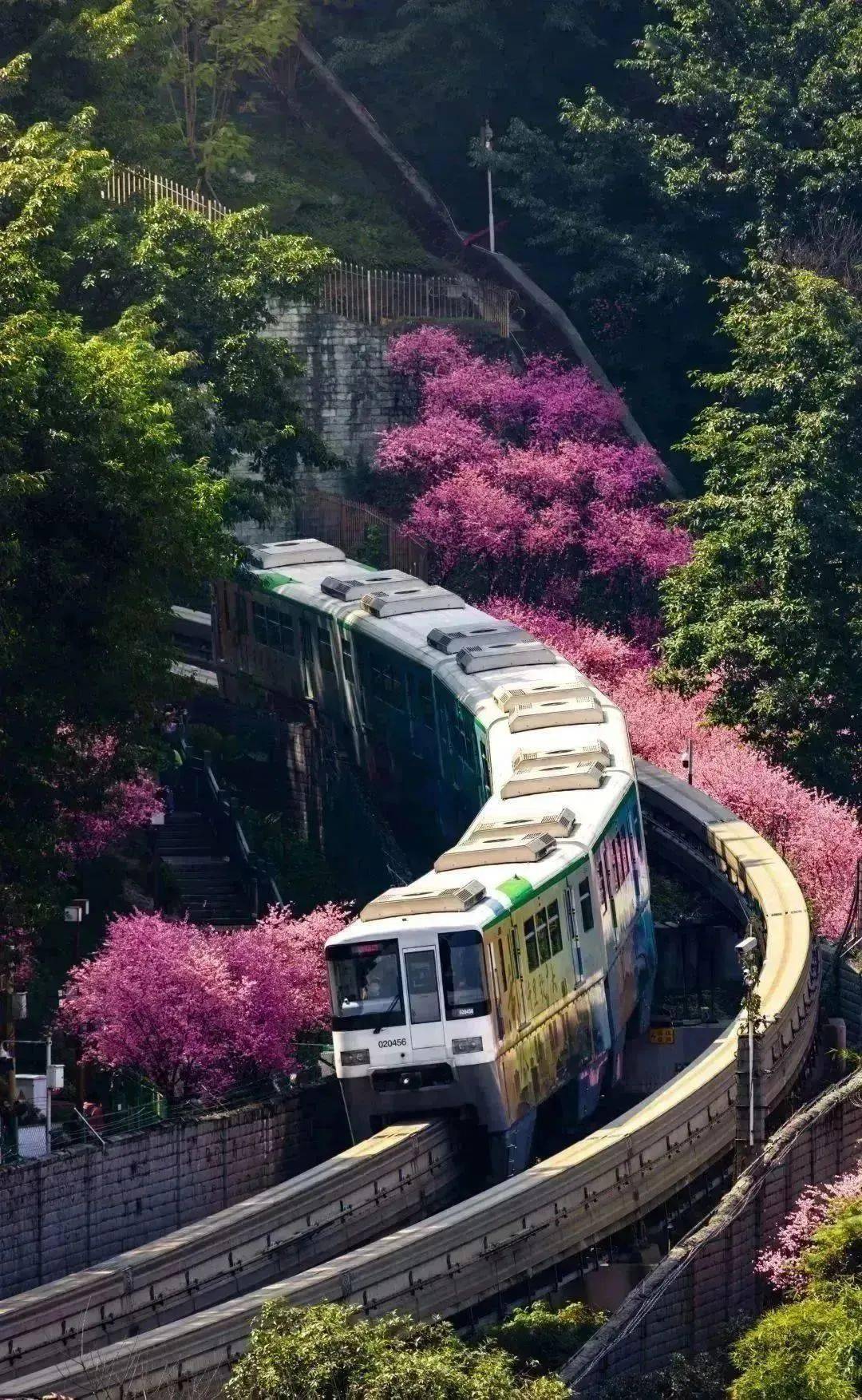 地址_佛图关_鹅岭