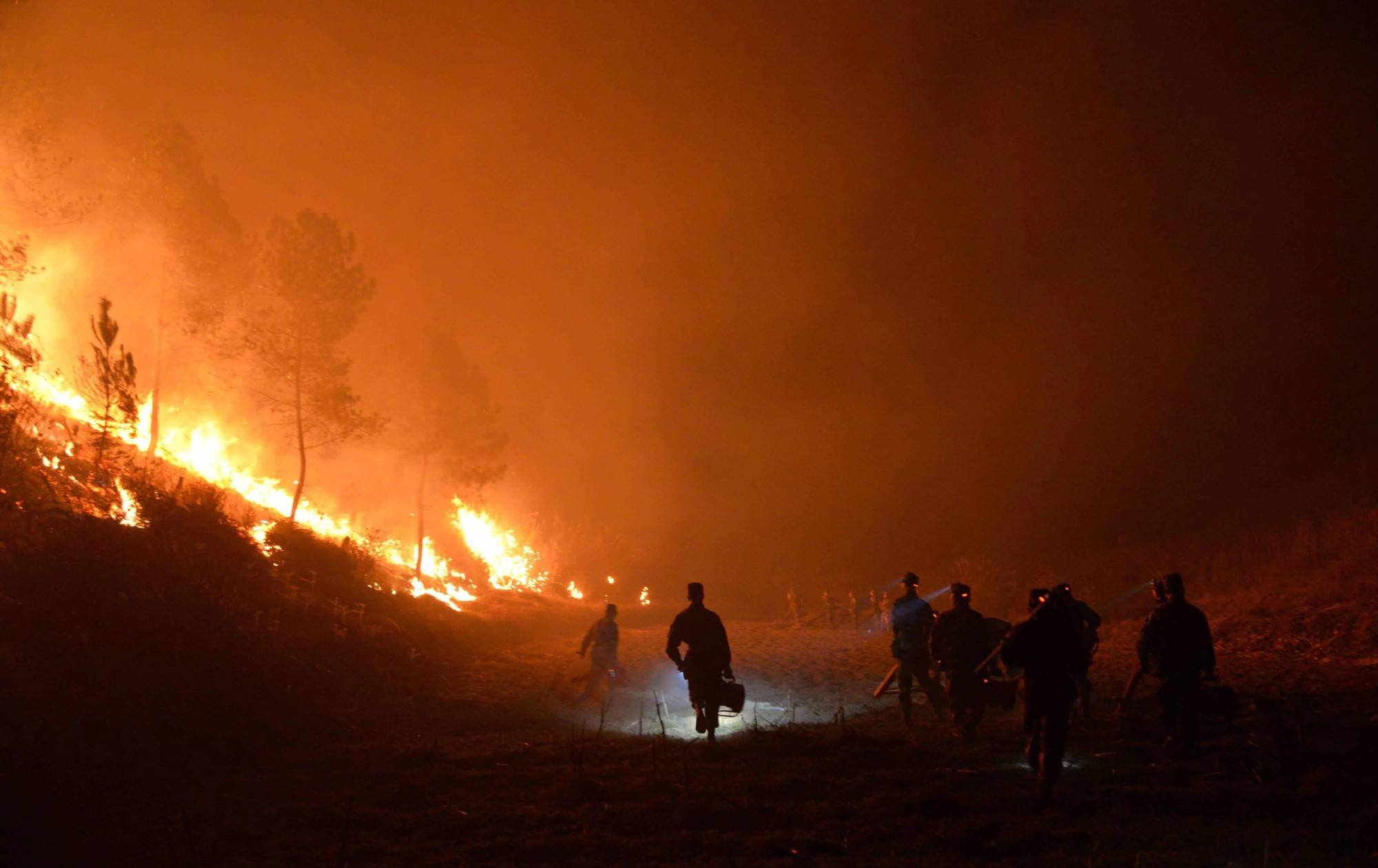 国家林草局:贵州要迅速遏制火灾多发势头_森林_工作_火情