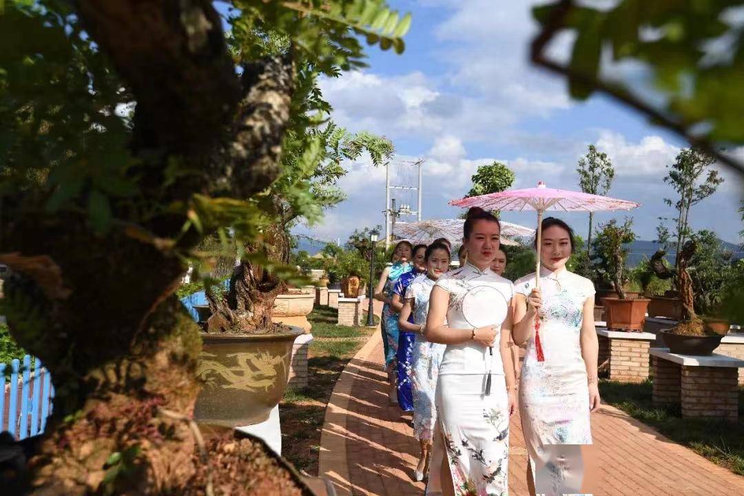 秀山_公园_内容